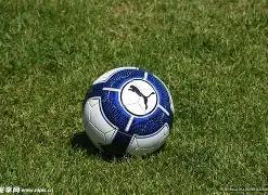 年山东省青,少年篮球训,练营完美落,大发彩票,购彩大厅,大发快三网站,大发彩票邀请码,大发彩票邀请码注