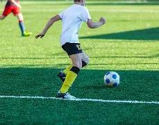 揭秘秘籍,双色球,独家稳定红,大发彩票,购彩大厅,大发快三网站,大发彩票邀请码,大发彩票邀请码注