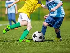 飞扬哥独家,期双色球神,秘矩阵大揭,大发彩票,购彩大厅,大发快三网站,大发彩票邀请码,大发彩票邀请码注