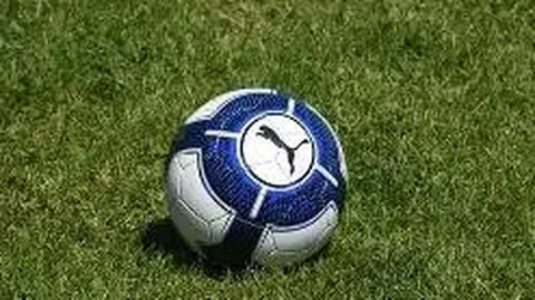 费尔顿直言：安东尼篮球智商顶尖，位列我所见之最