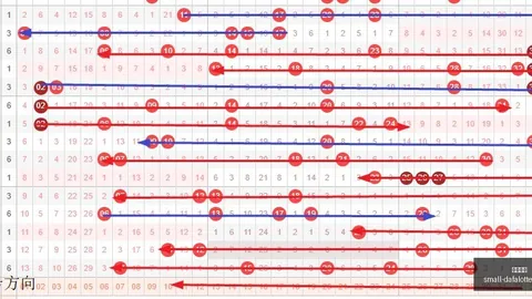2026版免费3彩民：中500底组选秘诀汇总